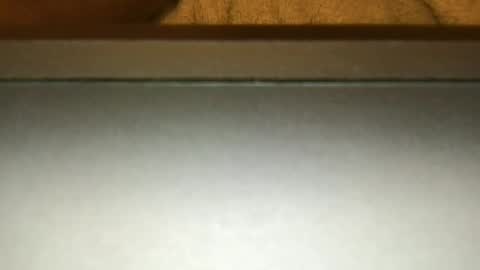 kink_lionn online show from August 2, 10:33 pm