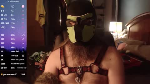 kinkywolf87 online show from May 8, 1:00 am