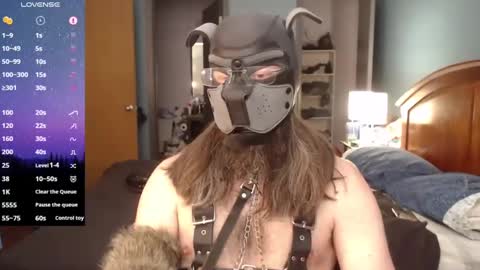 kinkywolf87 online show from February 23, 7:38 pm