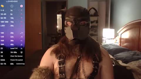 kinkywolf87 online show from January 29, 11:14 pm