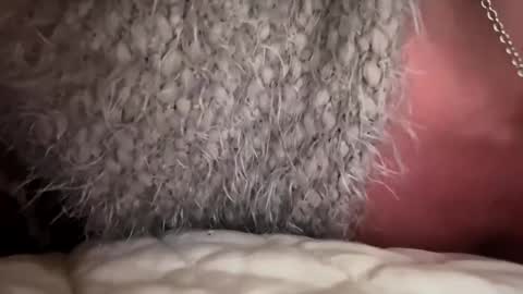 kittyfuckmeowx online show from November 29, 11:18 am