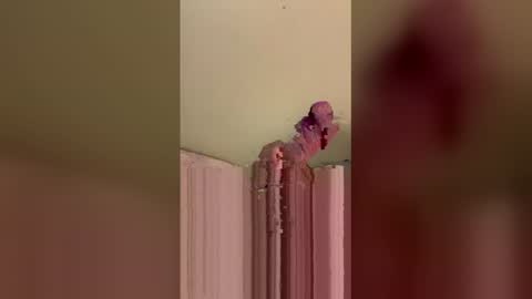 kmask16 online show from April 23, 9:50 am