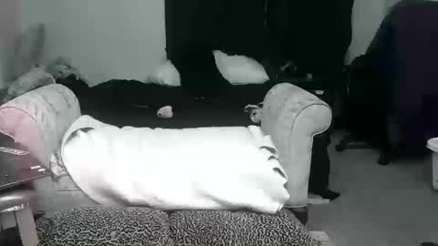 krystltymeup online show from October 20, 6:51 am