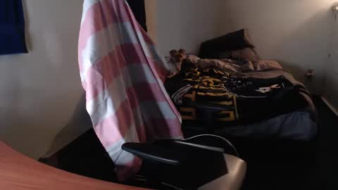 Kuggy online show from October 25, 11:42 am