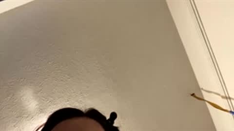 Lily online show from February 1, 1:08 pm