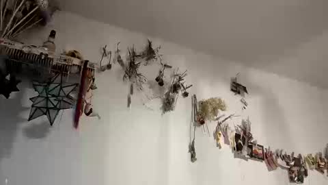 lacybell online show from October 11, 11:41 pm