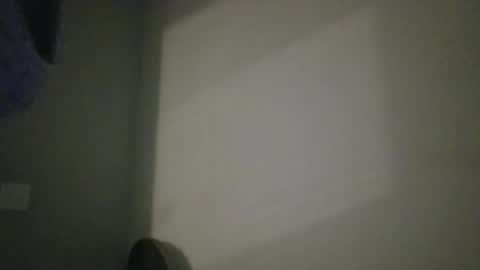 bambi online show from June 17, 5:34 am