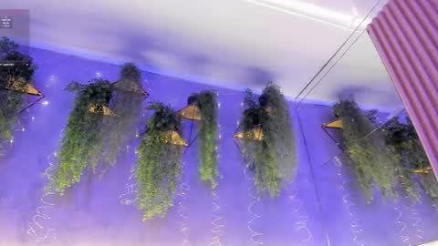 lana_lann online show from March 19, 7:30 pm