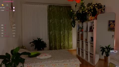 Lana online show from November 8, 2:20 pm