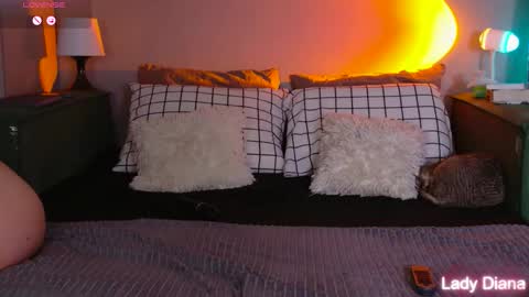 LancasterMiss online show from November 6, 2:31 pm