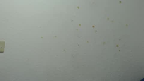 LAURA online show from December 5, 2:58 am