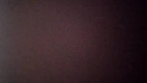 Law online show from November 6, 11:41 pm