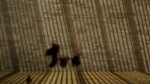 Sweet Fire online show from November 10, 12:24 am