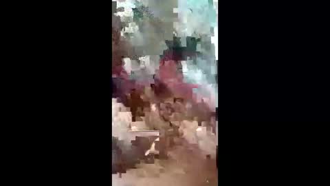 leedyamond online show from May 12, 2:48 pm