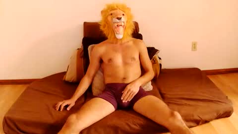 leo ottercat online show from November 1, 4:11 am