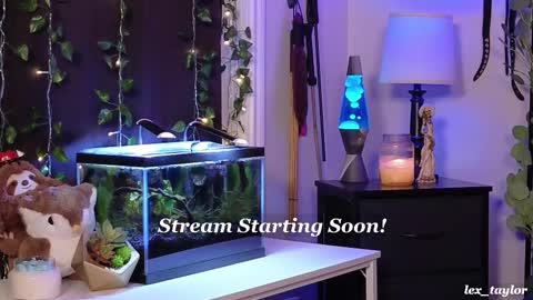 Lex online show from February 18, 4:36 pm