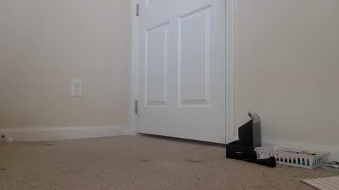 Alexia L. online show from February 6, 6:32 pm