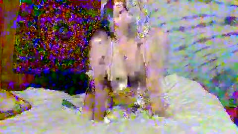 LexieLanierxo online show from December 16, 7:26 am