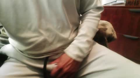 licam online show from December 1, 5:55 pm