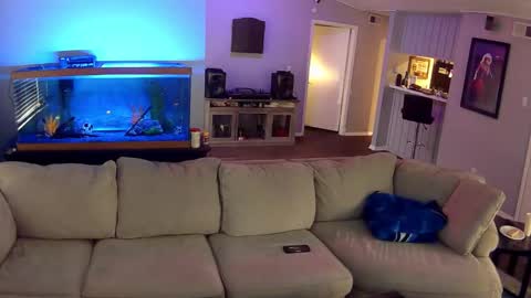 licketyspiit online show from October 30, 1:33 pm