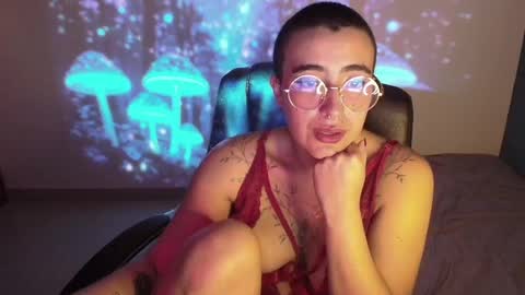im MIA  -- MY OF is catsito3 online show from February 22, 9:34 am