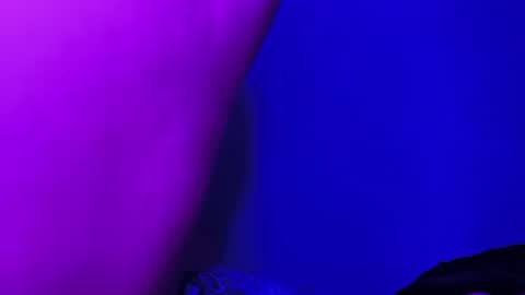 Lilith online show from July 26, 3:04 am