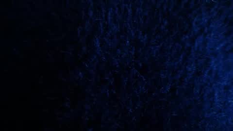 L I L I T H  online show from February 2, 11:39 am