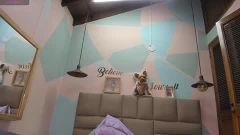 Snapshot of lilybaudyn_ chatting on February 12, 11:18 am Lily online show from February 12, 11:18 am