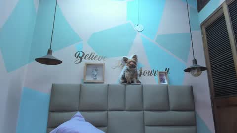 Snapshot of lilybaudyn_ chatting on February 25, 8:03 am Lily online show from February 25, 8:03 am