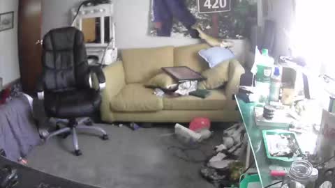 lilybvixen online show from October 3, 3:53 pm