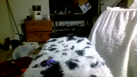 Snapshot of lincolnlongdick chatting on December 30, 5:12 pm Richie Rich online show from December 30, 5:12 pm