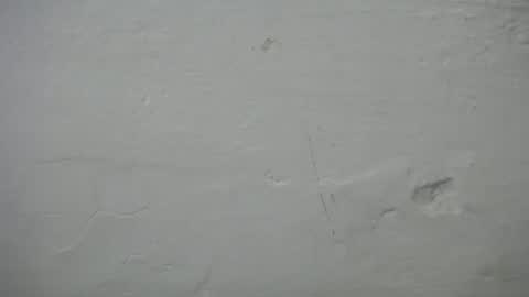 lisa_branch online show from October 6, 7:10 pm