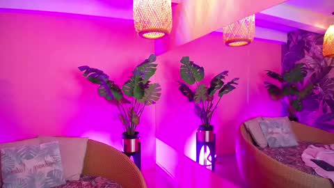 Paulette online show from November 15, 2:51 pm