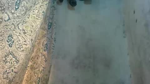 edra online show from October 13, 5:20 am