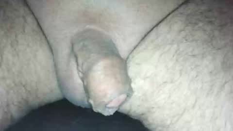 littlestick online show from October 6, 8:32 am