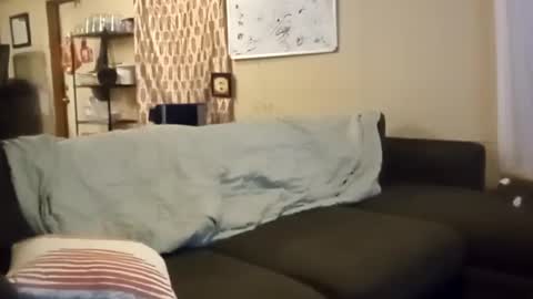 LjCherry online show from November 1, 7:40 am