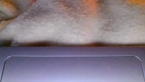 lolalovergirl333 online show from April 17, 12:02 am