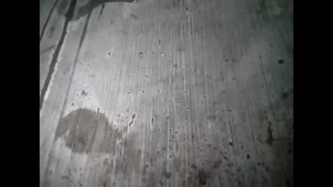 tey online show from September 12, 7:21 am