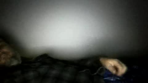 lonelyheart044 online show from April 26, 5:05 am