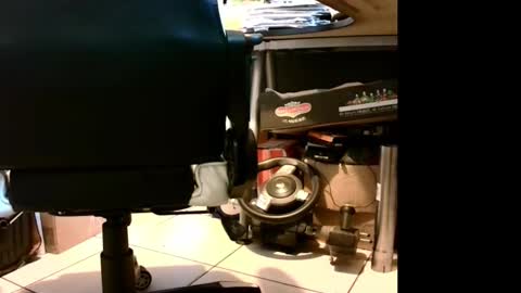 Snapshot of lonelypumabreizh chatting on September 10, 1:34 pm Pumabreizh online show from September 10, 1:34 pm