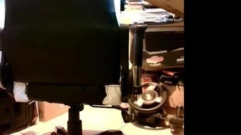 Snapshot of lonelypumabreizh chatting on September 12, 7:10 am Pumabreizh online show from September 12, 7:10 am