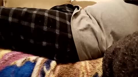 looking4bush online show from December 1, 10:45 pm