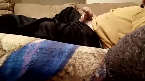 looking4bush online show from November 12, 4:48 am