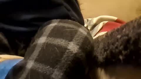 looking4bush online show from January 19, 5:50 am