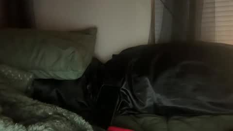 Lottiepoppie online show from January 3, 11:03 am