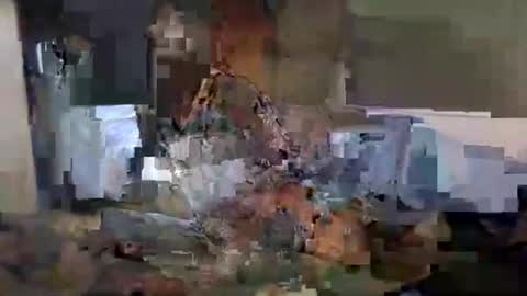 Mo  Sophie online show from November 9, 5:26 pm