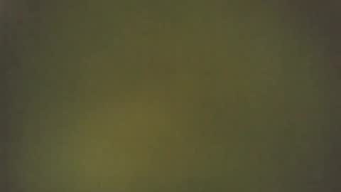 love_blooms online show from February 19, 9:41 am