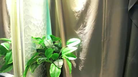 Christine online show from February 4, 2:48 am