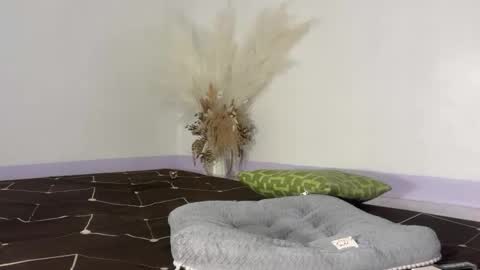 lucyforr online show from December 2, 10:35 am