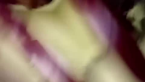 Andrew online show from September 13, 7:55 am